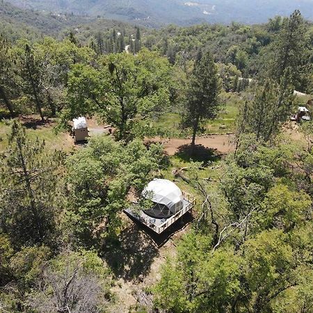 Enchanted Forest Dome ,10-15 Minutes To Kings Canyons-New Pellet Stove For Cozy Warm Nights Dunlap Bagian luar foto