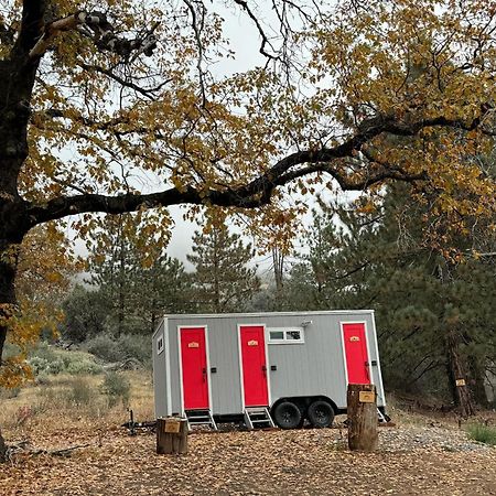 Enchanted Forest Dome ,10-15 Minutes To Kings Canyons-New Pellet Stove For Cozy Warm Nights Dunlap Bagian luar foto
