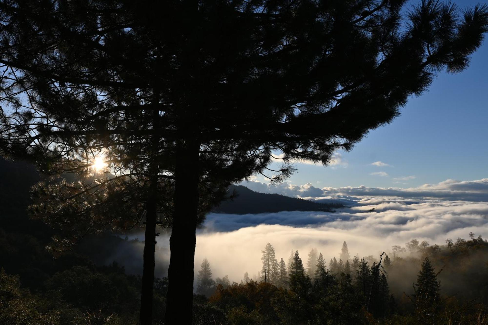 Enchanted Forest Dome ,10-15 Minutes To Kings Canyons-New Pellet Stove For Cozy Warm Nights Dunlap Bagian luar foto